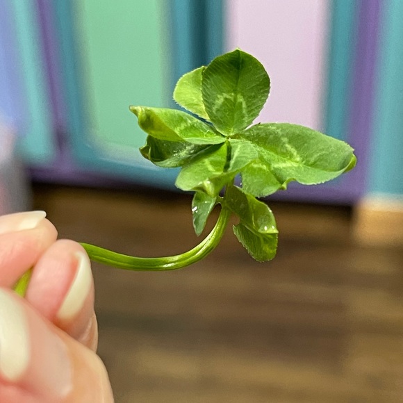 Meet your Posher, Debra - Picture 16 of 16